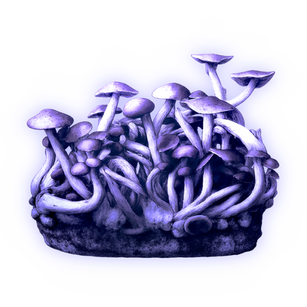 Growkit McKennaii