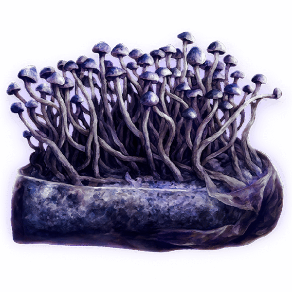 Growkit Nemezis (Black Cap Natalensis)